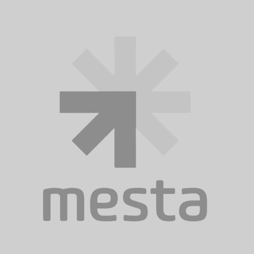Logo Mesta