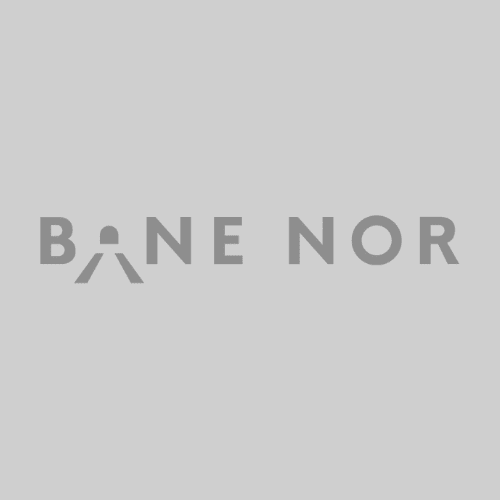 Logo Bane Nor